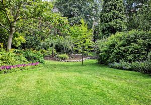 Optimiser l'expérience du jardin à Jauldes